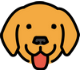 API Testing veloce